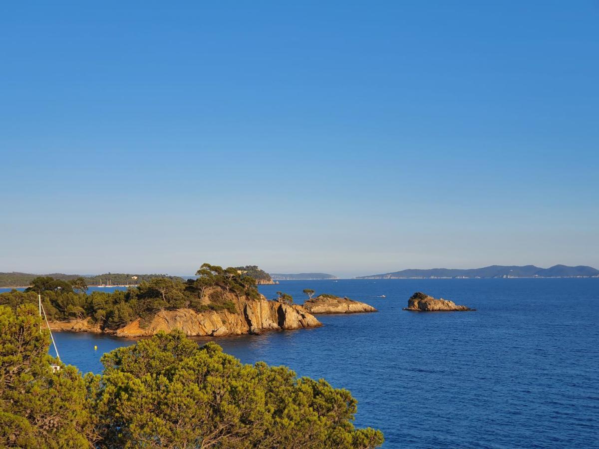 Petit Paradis