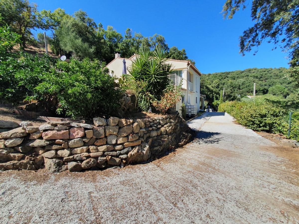 Petit Paradis Apartment